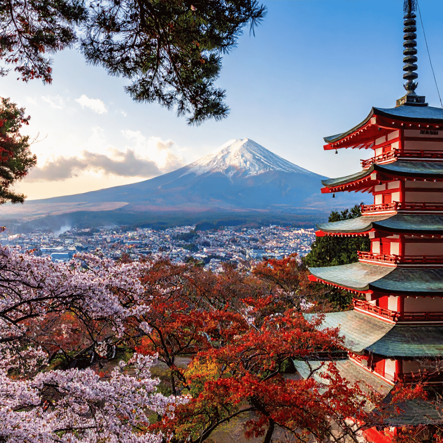 japan
